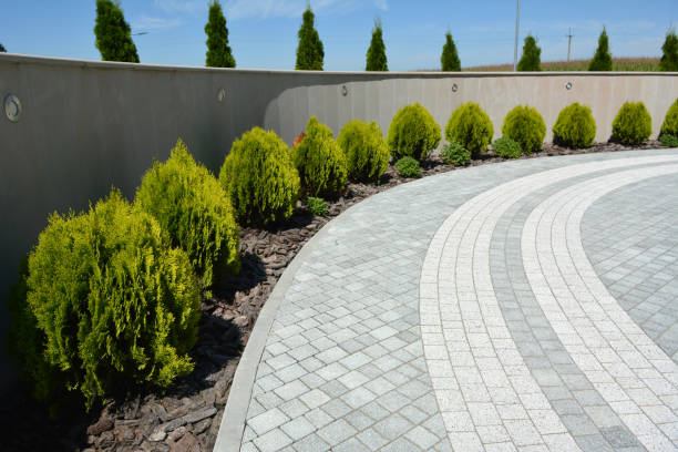 Best Interlocking Driveway Pavers  in Harbor Springs, MI